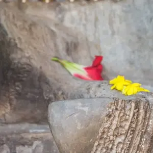 Explore Nature Camp Stay with Mountain view BBQ FUN for 3 days with Amazing Authentic Treks  and discover unforgettable experiences - Photo 8