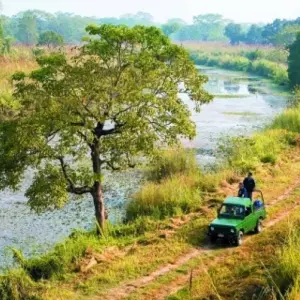 Explore Jungle Safari in  Chitwan for 3 days with Amazing Authentic Treks  and discover unforgettable experiences - Photo 4