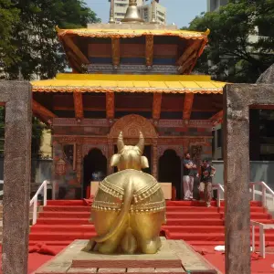 Explore Jungle Safari in  Nepal for 5 days with Amazing Authentic Treks  and discover unforgettable experiences - Photo 8