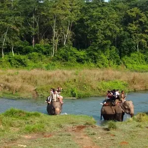 Explore Jungle Safari in  Chitwan for 3 days with Amazing Authentic Treks  and discover unforgettable experiences - Photo 8