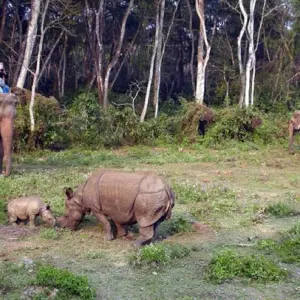 Explore Jungle Safari in  Nepal for 5 days with Amazing Authentic Treks  and discover unforgettable experiences - Photo 10