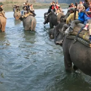 Explore Jungle Safari in  Chitwan for 3 days with Amazing Authentic Treks  and discover unforgettable experiences - Photo 9