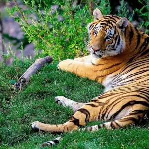 Explore Jungle Safari in  Nepal for 5 days with Amazing Authentic Treks  and discover unforgettable experiences - Photo 11
