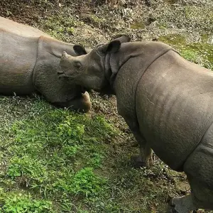 Explore Jungle Safari in  Chitwan for 3 days with Amazing Authentic Treks  and discover unforgettable experiences - Photo 10