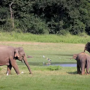 Explore Jungle Safari in  Chitwan for 3 days with Amazing Authentic Treks  and discover unforgettable experiences - Photo 11
