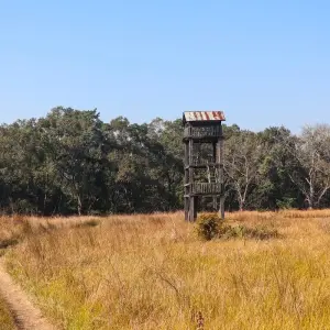 Explore Adventure Bardia Jungle Safari Tour for 3 days with Amazing Authentic Treks  and discover unforgettable experiences - Photo 5