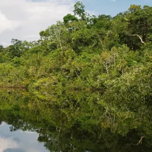 Explore Amazon Jungle (Air-Conditioned) - 4 Days for 4 days with Amazon Amazing Tours and discover unforgettable experiences - Photo 2