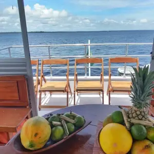 Explore Amazon Boat Cruise - 3 Days for 3 days with Amazon Amazing Tours and discover unforgettable experiences - Photo 2