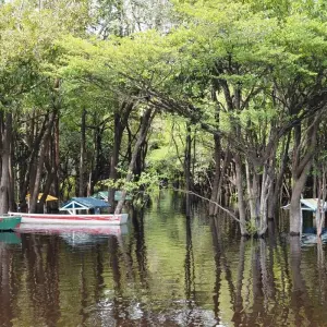 Explore Amazon Jungle - 4 Days for 4 days with Amazon Amazing Tours and discover unforgettable experiences - Photo 4