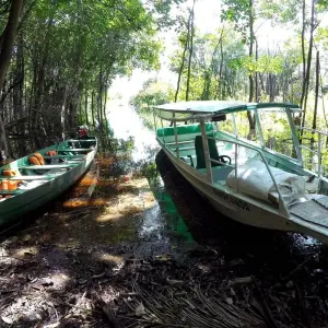 Explore Amazon Jungle (Air-Conditioned) - 2 Days for 2 days with Amazon Amazing Tours and discover unforgettable experiences - Photo 4