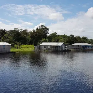 Explore Amazon Boat Cruise - 4 Days for 4 days with Amazon Amazing Tours and discover unforgettable experiences - Photo 3