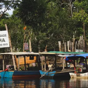 Explore Amazon Jungle - 3 Days for 3 days with Amazon Amazing Tours and discover unforgettable experiences - Photo 5