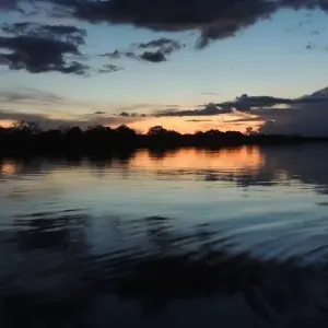 Explore Amazon Boat Cruise - 5 Days for 5 days with Amazon Amazing Tours and discover unforgettable experiences - Photo 3