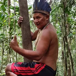 Explore Amazon Boat Cruise - 3 Days for 3 days with Amazon Amazing Tours and discover unforgettable experiences - Photo 3