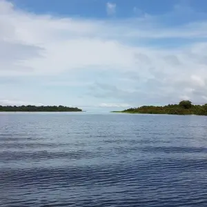 Explore Amazon Jungle (Air-Conditioned) - 2 Days for 2 days with Amazon Amazing Tours and discover unforgettable experiences - Photo 5