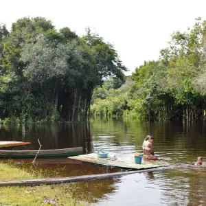 Explore Amazon Jungle (Air-Conditioned) - 4 Days for 4 days with Amazon Amazing Tours and discover unforgettable experiences - Photo 6