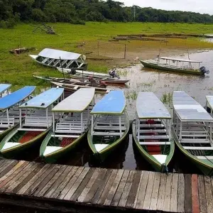 Explore Amazon Boat Cruise - 6 Days for 6 days with Amazon Amazing Tours and discover unforgettable experiences - Photo 6