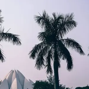 Explore Taj Mahal Sunrise and Sunset Tour with Bird Sanctuary for 3 days with Amazing India Tours and discover unforgettable experiences - Photo 2