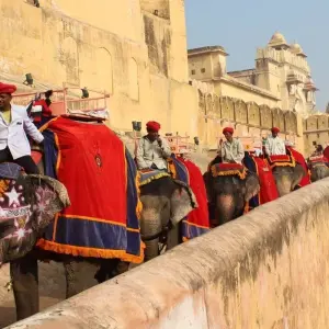 Explore Leopard Safari & Sunrise Taj Mahal Luxury Tour for 7 days with Amazing India Tours and discover unforgettable experiences - Photo 2