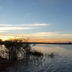 Explore Amazon Boat Cruise - 6 Days for 6 days with Amazon Amazing Tours and discover unforgettable experiences - Photo 8