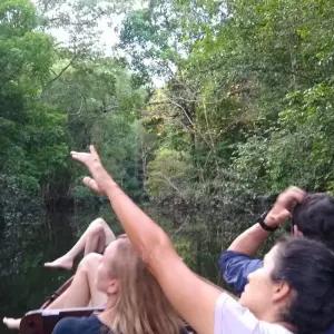 Explore Amazon Jungle - 4 Days for 4 days with Amazon Amazing Tours and discover unforgettable experiences - Photo 11