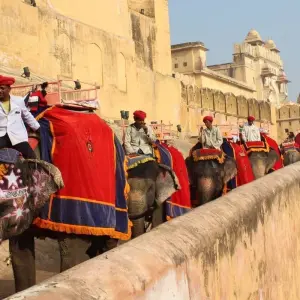 Explore Bespoke Luxury India for 10 days with Amazing India Tours and discover unforgettable experiences - Photo 2