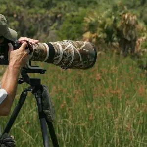 Explore Leopard Safari & Sunrise Taj Mahal Luxury Tour for 7 days with Amazing India Tours and discover unforgettable experiences - Photo 5