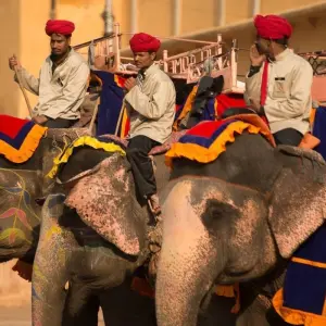Explore Karnataka & Golden Triangle With Wildlife for 16 days with Amazing India Tours and discover unforgettable experiences - Photo 2