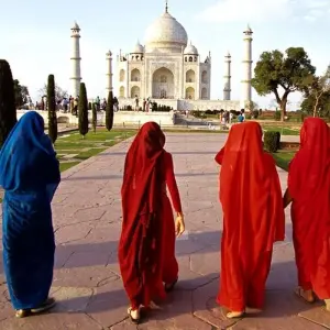 Explore Leopard Safari & Sunrise Taj Mahal Luxury Tour for 7 days with Amazing India Tours and discover unforgettable experiences - Photo 10