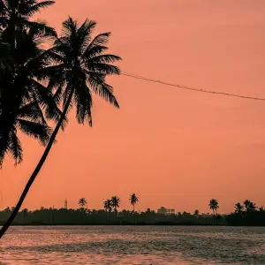 Explore India's Golden Triangle Tour and Kerala Backwaters for 14 days with Amazing India Tours and discover unforgettable experiences - Photo 3