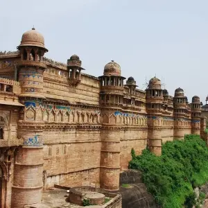 Explore India Taj To Tiger Journey for 12 days with Amazing India Tours and discover unforgettable experiences - Photo 8