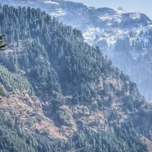 Explore Foothills Himalayas & Spiritual India for 17 days with Amazing India Tours and discover unforgettable experiences - Photo 5