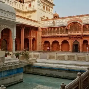 Explore Heart of India: Tigers, Temples & Taj Mahal Luxury Tour - 11 Days for 11 days with Amazing India Tours and discover unforgettable experiences - Photo 8