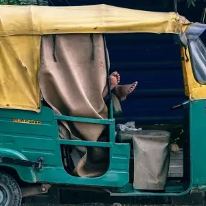 Explore Explore Tigers & Golden Triangle for 8 days with Amazing India Tours and discover unforgettable experiences - Photo 4