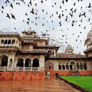 Explore India's Yoga and Mediation Tour With Taj Mahal - 11 Days for 11 days with Amazing India Tours and discover unforgettable experiences - Photo 4