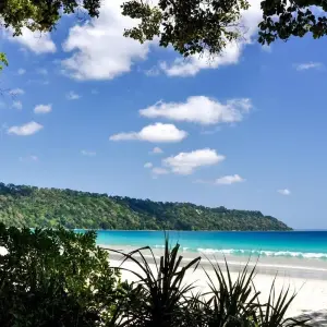 Explore Luxury Golden Triangle & Goa for 10 days with Amazing India Tours and discover unforgettable experiences - Photo 7