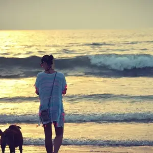 Explore India's Golden Triangle Tour With Goa Beaches - 11 Days for 11 days with Amazing India Tours and discover unforgettable experiences - Photo 8