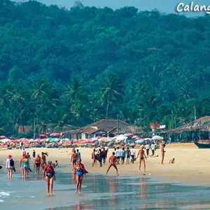 Explore Luxury Golden Triangle & Goa for 10 days with Amazing India Tours and discover unforgettable experiences - Photo 9