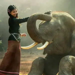 Explore North East Golden Triangle With Kaziranga National Park Tour for 7 days with Amazing India Tours and discover unforgettable experiences - Photo 4