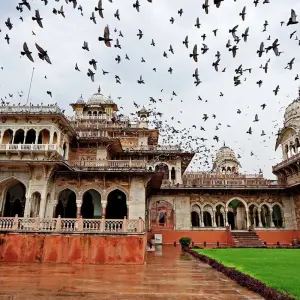 Explore Royal Rajasthan & Land of Kings for 15 days with Amazing India Tours and discover unforgettable experiences - Photo 7