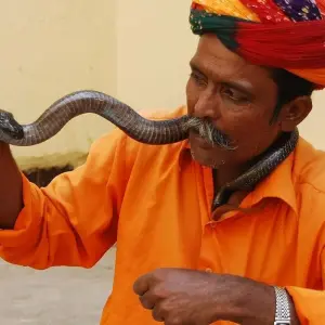 Explore Incredible India Luxury for 17 days with Amazing India Tours and discover unforgettable experiences - Photo 5