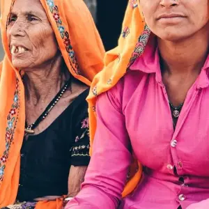 Explore Classical Wildlife India for 11 days with Amazing India Tours and discover unforgettable experiences - Photo 4