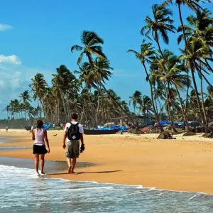 Explore India Golden Triangle With Wildlife & Goa for 12 days with Amazing India Tours and discover unforgettable experiences - Photo 4