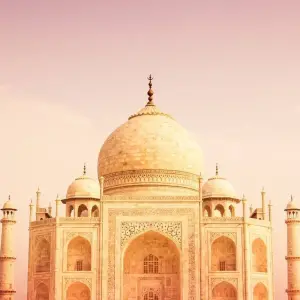 Explore India Golden Triangle With Wildlife & Goa for 12 days with Amazing India Tours and discover unforgettable experiences - Photo 6