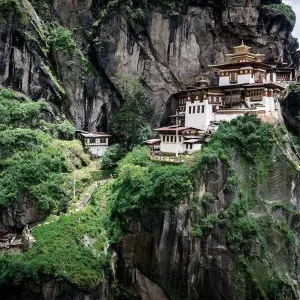 Explore Classical  Bhutan &  India Golden Triangle & Tigers for 15 days with Amazing India Tours and discover unforgettable experiences - Photo 7