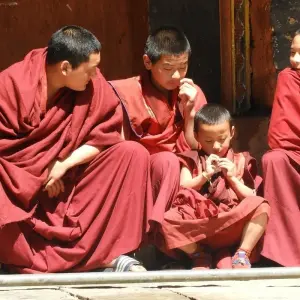 Explore Classical  Bhutan &  India Golden Triangle & Tigers for 15 days with Amazing India Tours and discover unforgettable experiences - Photo 9