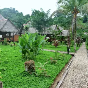 Explore 4-Day Jungle of Peru Tambopata Nature Reserve for 4 days with America Viajes and discover unforgettable experiences - Photo 3