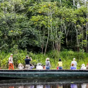 Explore 4-Day Jungle of Peru Tambopata Nature Reserve for 4 days with America Viajes and discover unforgettable experiences - Photo 4