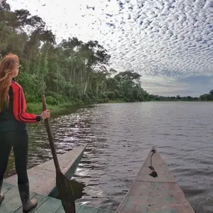 Explore 4-Day Jungle of Peru Tambopata Nature Reserve for 4 days with America Viajes and discover unforgettable experiences - Photo 6