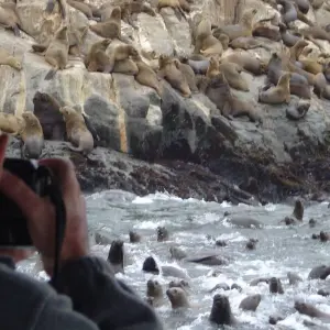 Explore Lima Tourist Package for 3 days with America Viajes and discover unforgettable experiences - Photo 8
